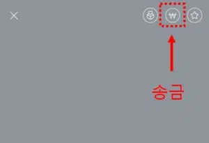 카톡 송금