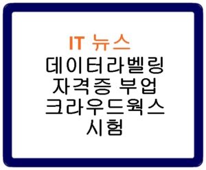 데이터라벨링 자격증 부업 크라우드웍스 시험