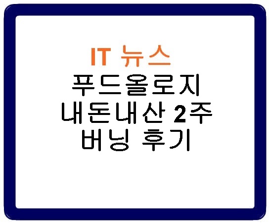 푸드올로지 내돈내산 2주 버닝 후기