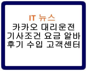 카카오 대리운전 기사조건 요금 알바 후기 수입 고객센터