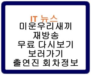 미운우리새끼 재방송 무료 다시보기 보러가기 출연진 회차정보